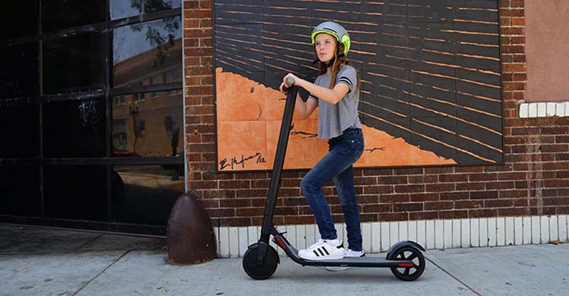 Ninebot by Segway Kickscooter ES1